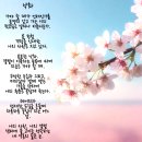 가음초등학교 | 落花의 꿈