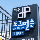 여수 도그펄슨 애견수영장펜션 이미지