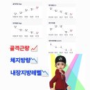 라임PT 에코점 | [전주PT/그룹PT] 해빛PT 주 2회 그룹PT / 프로틴 비추&amp;추천 / 다이소 5천원 손잡이 텀블러 추천