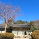 창원 성흥사 대웅전 이미지