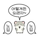 강정종합상회