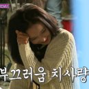 꽃피는청춘주 이미지