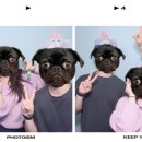 훈춘양꼬치 2호점 이미지