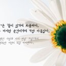 프라임상조 이미지