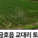 윤창공인중개사사무소 이미지