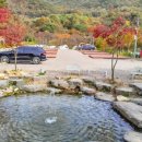 더예감스테이