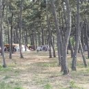 914 해변 캠핑장 네이버블로그
