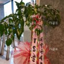 영주골프연습장 이미지