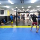 팀사나이 이미지