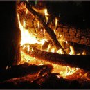 모닥불 이미지