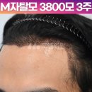 모엠의원 이미지