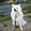 염포양정도서관 이미지