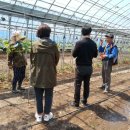 오명선농장 이미지