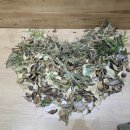 남양주별가람유치원(공립) 이미지