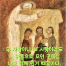 2024-08-13성 막시밀리아노 마리아 콜베 사제 순교자 기념일＜그가 네 말을 들으면 네가 그 형제를 얻은 것이다.＞ 이미지