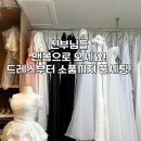 가성비 세미웨딩 스튜디오 추천｜드레스 무료 대여 + 헬퍼비 無! 예비신부님들 여기서 찍으세요✨