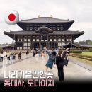 롱포인트아시아 | 나라 가볼 만한 곳 동대사 후기｜한국과 일본의 문화교류를 알고 보는 나라 여행 코스