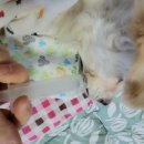 성림메디칼 네이버블로그