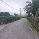 안덕면 서광서리 복지회관 이미지