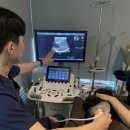 동그라미 동물의료센터 이미지