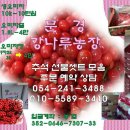 유경농장 이미지