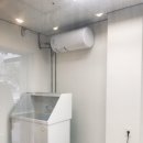 냥이를 사랑하는 멍멍이 이미지