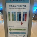 라스베가스PC | 2024 LAX, LAS 여행 (1) 출국, 라스베가스 도착, 인앤아웃 버거, 오쇼