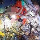 완도18호 이미지