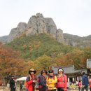 청송 이미지