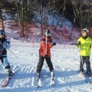 휘닉스 파크 이미지