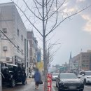 우이세차장 네이버블로그