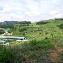 드림목장 이미지