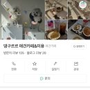 회원동305 이미지