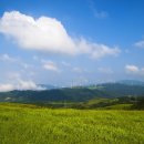 시원목장 이미지