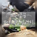 청주 수암골 애니멀빌리지 방문 간단후기!!~~