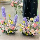 사파동294 | 창원꽃집 신월동 사파동 미떼플라워 :: 플라워디렉팅 / 웨딩 촬영 스튜디오 센터피스 / 꽃장식 소품