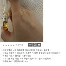 [DBH]더메스테릭스 EGF FGF DNA UV 쉴드 선크림SPF47 PA+++/선기능이 뛰어나고 회복, 재생력과 보호력...