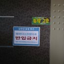 단양엘림펜션민박 | 단양여행 남한강솔밭펜션 후기 | 패러글라이딩 근처