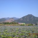 상봉2농장 이미지