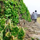 별방으로의 산책 이미지