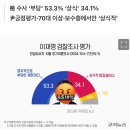 이재명 겨냥 ‘檢 수사’ 국민 과반이 “정치적으로 부당”[쿠키뉴스 여론조사] 이미지