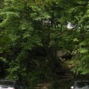 서당공원 화장실 이미지