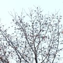 오리나무약수터 이미지