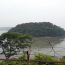 부래도