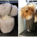 강남애견백화점 이미지