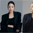 라도집