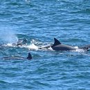 노을해안로 이미지