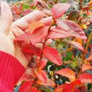 항산농장 이미지