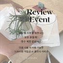 피오디