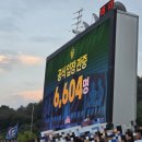 오렌지반점 이미지